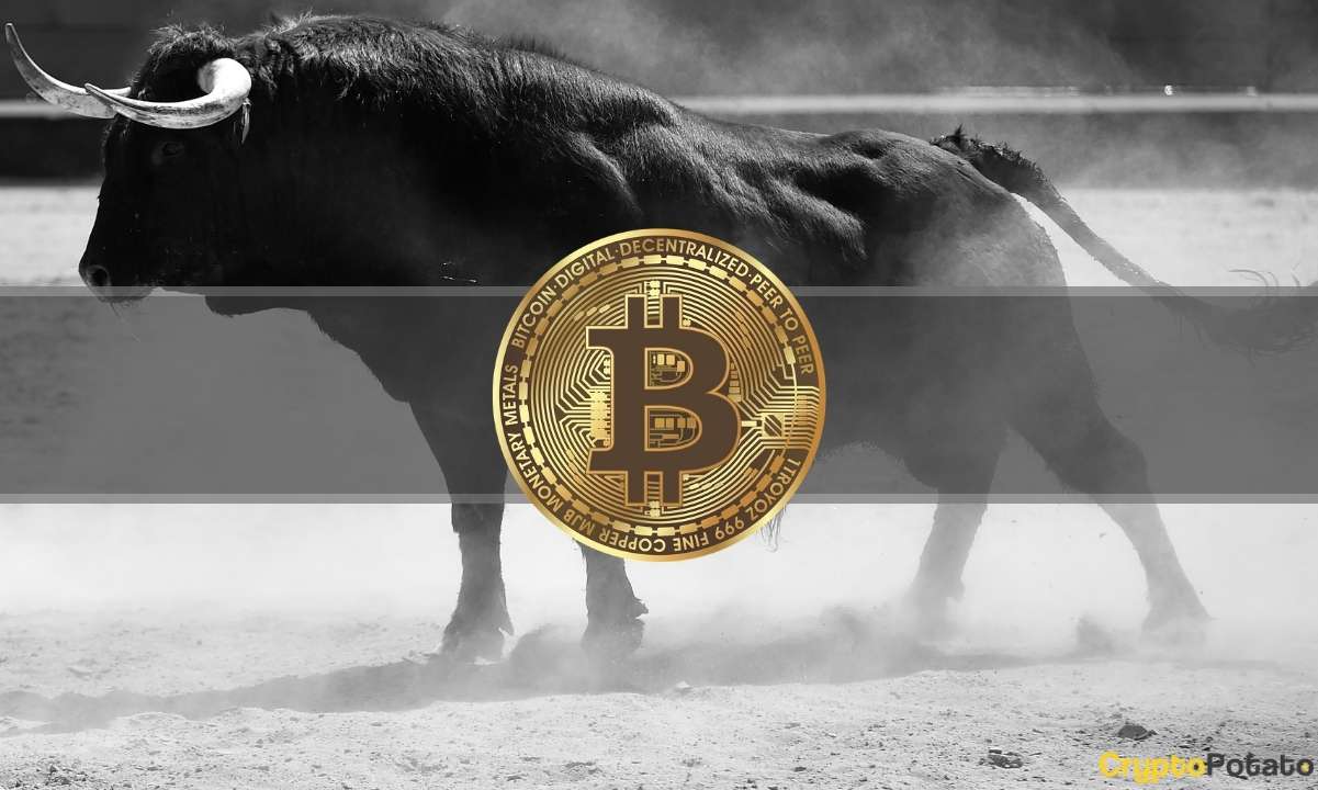 Bitcoin explodiert in einer Woche um 18 %, die Gesamtmarktkapitalisierung fordert 2 Billionen Dollar zurück: Krypto-Rückblick dieser Woche