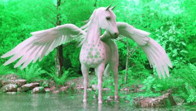 Cardano (ADA)-Entwickler schlagen neues Update vor, um die Blockgröße um 11 % zu erhöhen