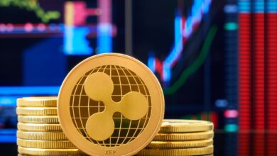 Coin Bureau Host Shares Outlook, in dem BTC in den nächsten Wochen 56.000 $ erreicht