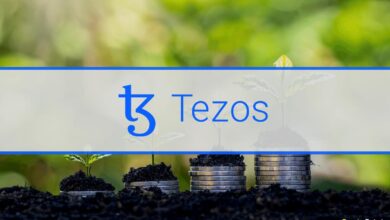 Das Tezos-Netzwerk und sein stilles Wachstum im vergangenen Jahr