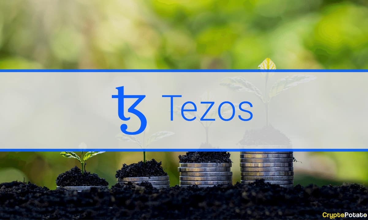 Das Tezos-Netzwerk und sein stilles Wachstum im vergangenen Jahr