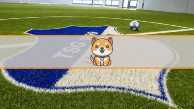 Der deutsche Fußballverein TSG Hoffenheim ist Partner von Baby Doge