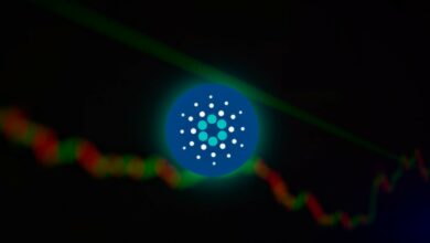 Die Cardano Foundation verdoppelt das Kopfgeld in ihrem Fehleridentifizierungsprogramm