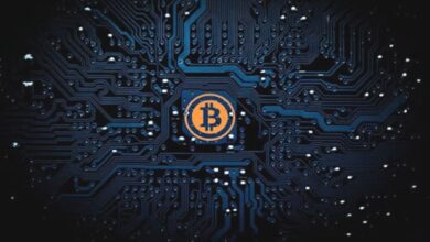 Was ist das Bitcoin Lightning Netzwerk?