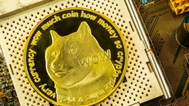 Dogecoin Foundations enthüllt Übergangspläne zu einem einzigartigen PoS-Modell