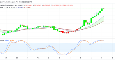 Investoren bejubeln Pläne von Axie Infinity (AXS) zur Verbesserung der wirtschaftlichen Stabilität