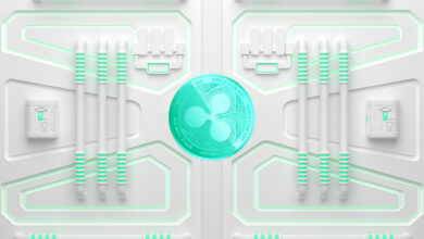 Ripple CEO Brad Garlinghouse sagt, die Wahrheit sei heraus, nachdem Rechtsdokumente in einer XRP-Klage entsiegelt wurden