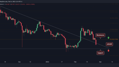 Ripple Preisanalyse: XRP fällt unter eine kritische Unterstützung, sind 0,50 $ im Spiel?