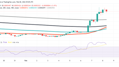 SHIB-Preisanalyse: Shibarium-Ankündigung treibt Shiba Inu höher