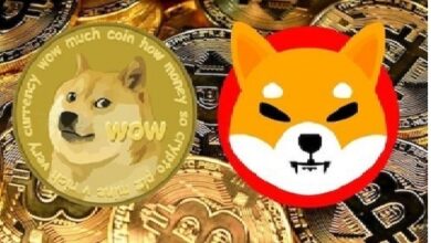 Shiba Inu Coin hält Gewinne, MAs drücken Dogecoin nach unten