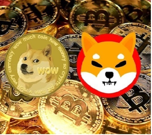 Shiba Inu Coin hält Gewinne, MAs drücken Dogecoin nach unten