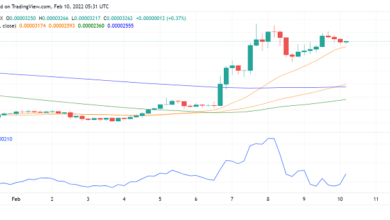 Shiba Inu (SHIB) sammelt sich nach der Ankündigung von Plänen zum Eintritt in Metaverse