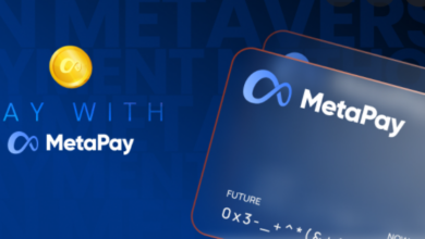 Warum ist MetaPay (METAPAY) der heutige Topverdiener?