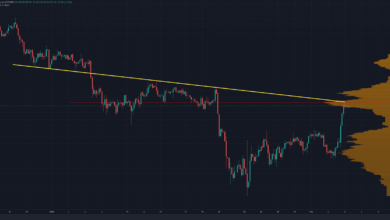 Was ist das nächste Ziel nach dem Anstieg von BTC über 41.000 $?