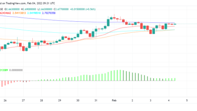 Wird Decentraland (MANA) trotz starker Fundamentaldaten nach unten gehen?