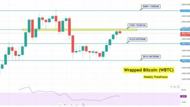 Wrapped Bitcoin (WBTC) hat bisher einen wirklich guten Tag