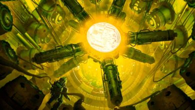 Dogecoin-Konkurrent Shiba Inu und Ethereum Der Rivale Cardano wird Zeuge massiver Waltransfers innerhalb von 24 Stunden