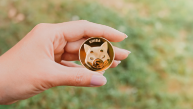 Kaufen Sie Shiba Inu Coin bei 0,000020 $ Unterstützung?
