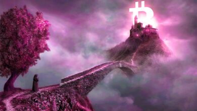 An-Chain Analyst Willy Woo sagt, dass sich Bitcoins „letzter Zyklus“ abspielt, während BTC aggressiv akkumuliert wird