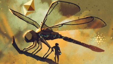 Analyst Michaël van de Poppe gibt Alarm für Ethereum (ETH) und Cardano (ADA) Händler – hier sind seine neuen Ziele