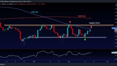 Bitcoin-Preisanalyse: Sind nach dem jüngsten Anstieg 45.000 US-Dollar für BTC in Sicht?