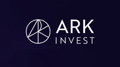 Cathie Wood ist von „spektakulären“ Renditen des Ark Innovation ETF überzeugt