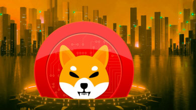 Crypto Asset überholt Shiba Inu (SHIB) als größte Altcoin-Holding unter den Top 500 Ethereum Wale