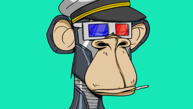 Der Bored Ape Yacht Club sammelt eine Woche nach dem Start von ApeCoin 450 Millionen Dollar