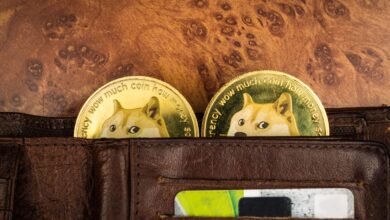 Der Schöpfer von Dogecoin sagt, es sei an der Zeit, dass DOGE seinen „Mem“-Status fallen lässt