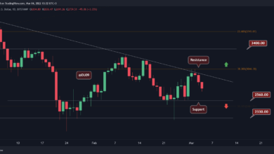 Ethereum, RippleLuna, Cosmos und Near Protocol