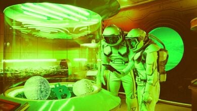 Ethereum Scaling Altcoin steigt in nur einer Woche nach 200.000.000 $ Fundraising um 79 %