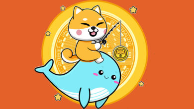 Ethereum Wale stürzen sich in Shiba Inu (SHIB) und mehrere DeFi-Altcoins in einen unsicheren Markt
