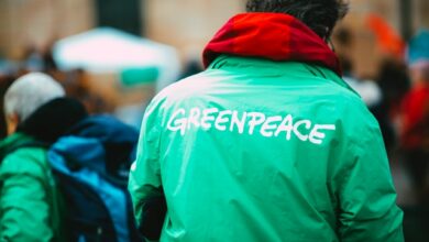 Greenpeace und Ripple Der CEO fordert eine Änderung des Bitcoin-Codes aufgrund des Energieverbrauchs