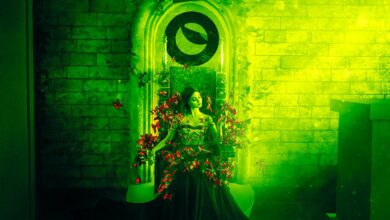 Kryptoanalyst ruft einen an Ethereum Konkurrent „stark unterbewertet“, aktualisiert Ausblick auf Terra (LUNA) und Solana (SOL)