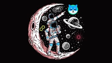 Mehr als 60 % der Shiba Inu-, Cardano- und Polygon-Inhaber pflegen Verluste inmitten eines schwachen Krypto-Bounce – Analyseunternehmen
