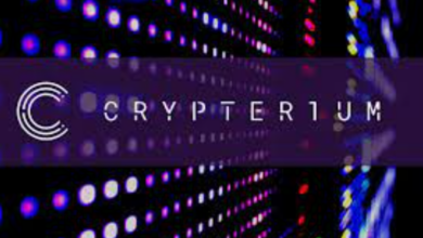 Nach Rekordgewinnen nimmt Crypterium (CRPT) einen Rückgang