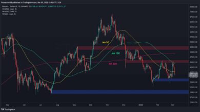 Nach dem Verlust von 6000 $ in 3 Tagen ist dies die nächste große Unterstützung für Bitcoin (Preisanalyse)