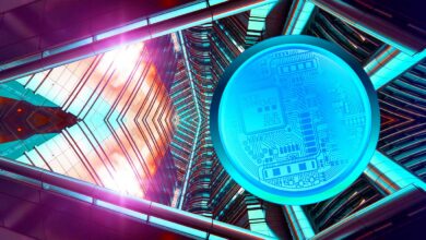 Payments Giant Stripe führt Krypto-Business-Support ein