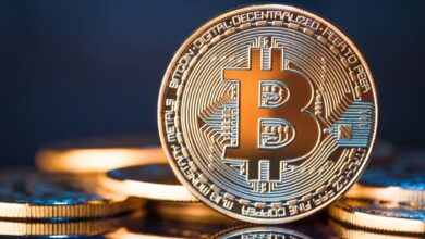 Raoul Pal fordert BTC-Inhaber auf, die kurzfristige Liquidität und das kurzfristige Verhalten des Vermögenswerts zu ignorieren