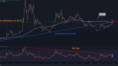 Ripple Aufwärtstrend verlangsamt sich, ist $1 möglich?