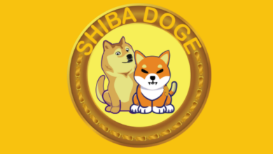 ShibaDoge (SHIBDOGE) kommt nicht mit dem Rest des Marktes zurück