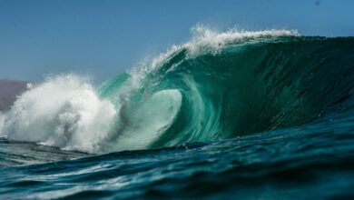 WAVES steigt um 27 % (Marktbeobachtung)
