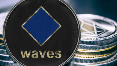 WAVES und EGLD sind am Mittwoch die Top-Gewinn-Charts