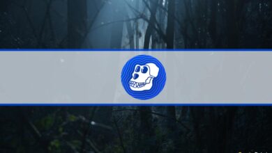 Wie jemand 820.000 $ aus ApeCoins Airdrop über Flashloan gemacht hat