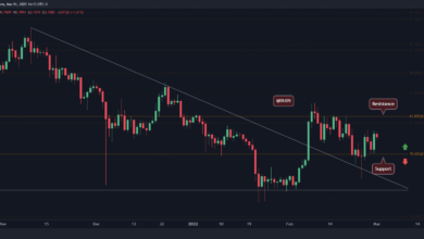 XRP bricht über kritischer Unterstützung, was ist das nächste Ziel?