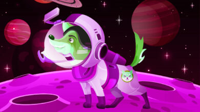 Analyst sagt voraus, dass Shiba Inu (SHIB) sich in diesem Zyklus stark bewegt, sagt einer Ethereum (ETH) Rivale wird Top-Performer