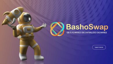 BashoSwap Aufbau einer dezentralen Börse auf Cardano (Interview)
