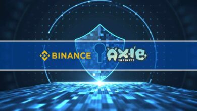 Binance führt 150-Millionen-Dollar-Finanzierungsrunde von Axie Infinity Creator an
