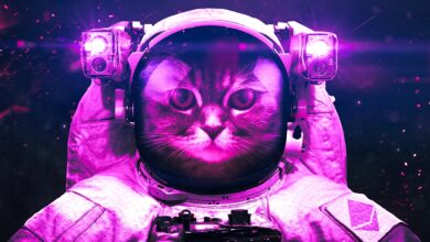 BitMEX-CEO Arthur Hayes mischt Krypto-Portfolio und wählt Ethereum Über Bitcoin – Hier ist der Grund