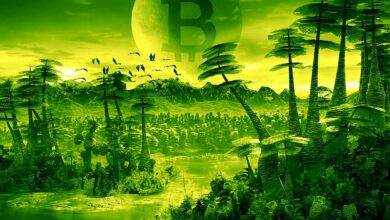 Bitcoin (BTC) rüstet sich für neue Rallye As Ethereum (ETH) Verschnauft: Analyst Michaël van de Poppe